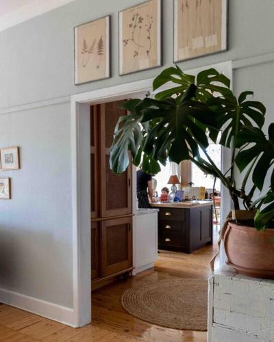 a living room with a potted plant and a kitchen at Seymour House in Moss Vale