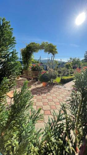 a garden with potted plants and flowers on a path at Квітковий двір in Golubinoye