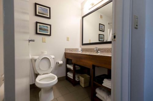 Bilik mandi di Comfort Suites Springfield I-70