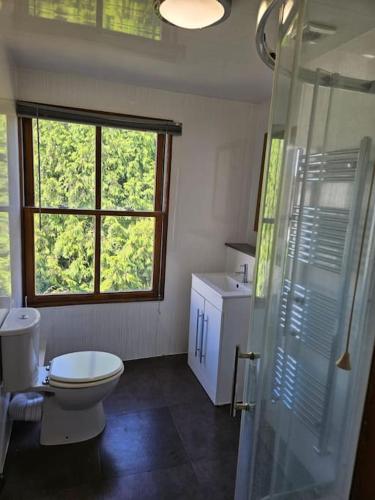 a bathroom with a toilet and a shower with a window at House in historic Winchester in Winchester