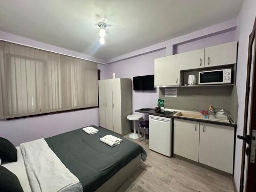 Dapur atau dapur kecil di Saraya