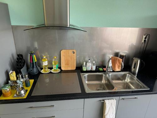a kitchen with a sink and a counter top at Baskervilu Muiža in Sērenes