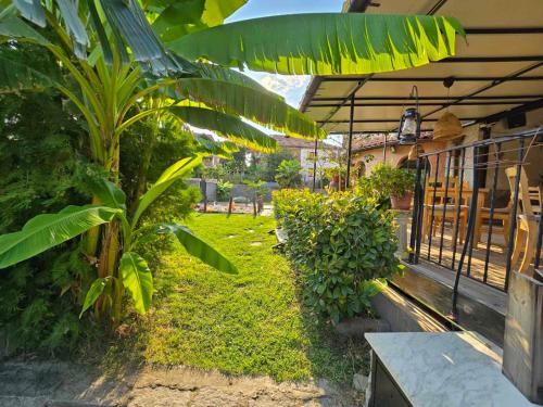 a garden with a palm tree and a building at Boutique Hotel Colosseo in Sandanski