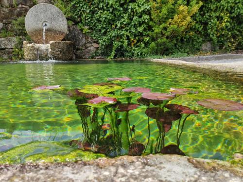 a pond with a fountain with lilies in it at Rilhadas Casas de Campo in Fafe