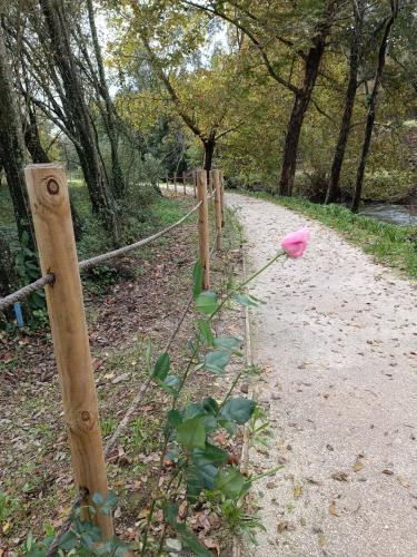 a fence with a pink flower on the side of a road at Rilhadas Casas de Campo in Fafe