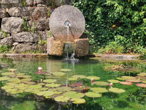 a fountain in the middle of a pond with lilies at Rilhadas Casas de Campo in Fafe