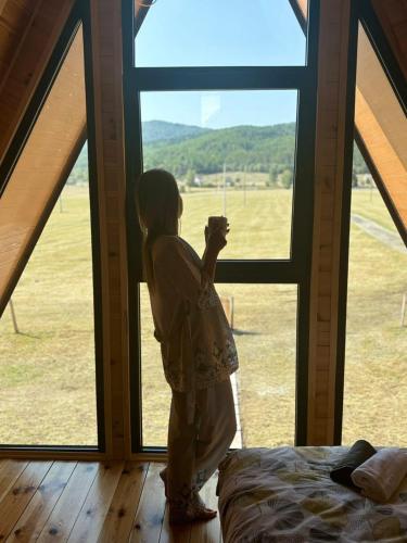 別荘から撮影された、または一般的な山の景色