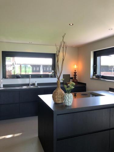 a kitchen with black cabinets and a vase on a counter at Smithoes in Groot-Agelo