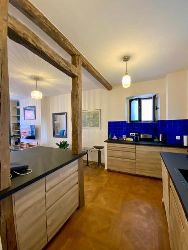 - une grande cuisine avec du carrelage bleu sur les murs dans l'établissement Buffon, à Paris