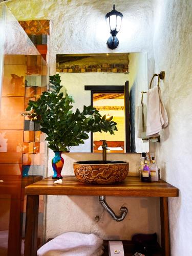 a bathroom with a sink and a plant on a table at Hospedaje Villa Eucalyptus in Nobsa