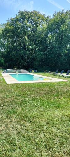 une petite piscine dans un champ d'herbe dans l'établissement Château le haut villaumay, à Auzouer-en-Touraine