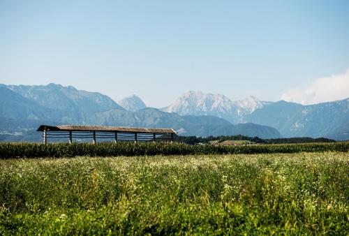 a building in a field with mountains in the background at Mojca's nest apartment in Mengeš
