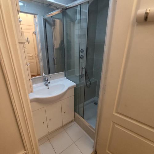 une salle de bain avec un lavabo et une douche dans l'établissement Cosy Flat 8e Champs-Elysées, à Paris