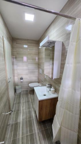 a bathroom with a sink and a toilet at Apartmani Đorđević in Soko Banja
