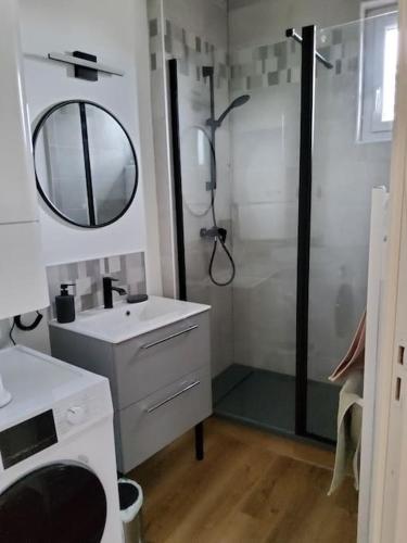 une salle de bain avec une douche, un lavabo et un miroir dans l'établissement La blanche école, à Rochefort-sur-Loire