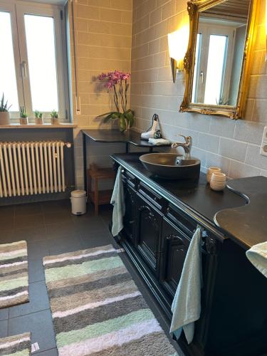 Kuchyň nebo kuchyňský kout v ubytování Stilvolle, große Ferienwohnung in der Hallertau, Nähe Pfaffenhofen & Scheyern