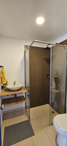 ビージャ・デ・レイバにあるCasa Bretonne B&Bのシャワー、洗面台、トイレ付きのバスルーム