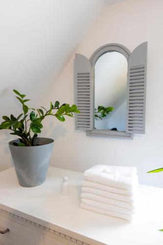 a bathroom with a plant on a counter with a mirror at Ten Dom in Malbork