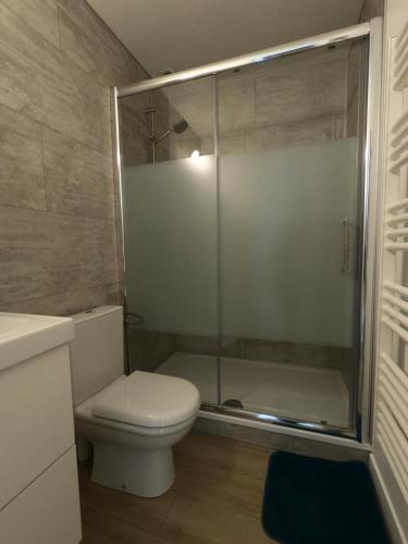 a bathroom with a toilet and a glass shower at Besançon appartement T2 sur cour intérieure proximité gare in Besançon