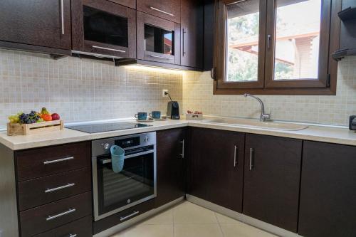 a kitchen with brown cabinets and a sink and a stove at Villa Anastasia 2 in Fourka