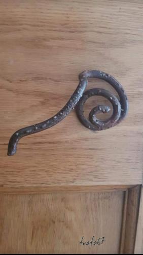 a snake sitting on top of a wooden table at Il giardino di FraFa in Quartu SantʼElena