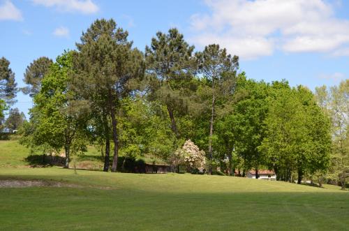 a field with trees and a house in the distance at Rilhadas Casas de Campo in Fafe