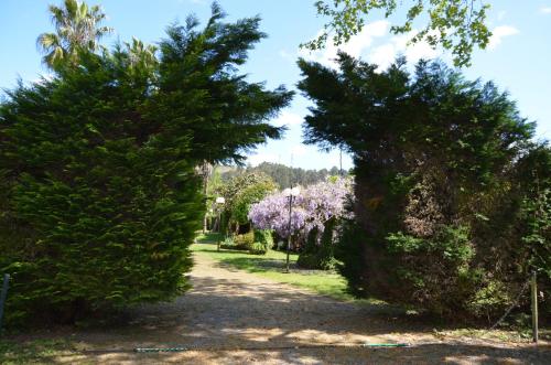two trees on a dirt road with purple flowers at Rilhadas Casas de Campo in Fafe