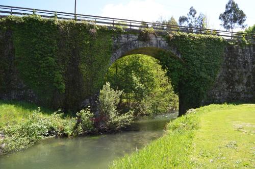 an ivy covered bridge over a river at Rilhadas Casas de Campo in Fafe