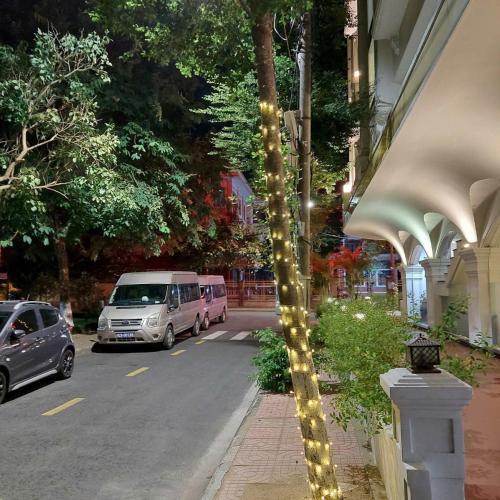 a tree with lights on the side of a street at KHÁCH SẠN ROMO in Quang Ngai