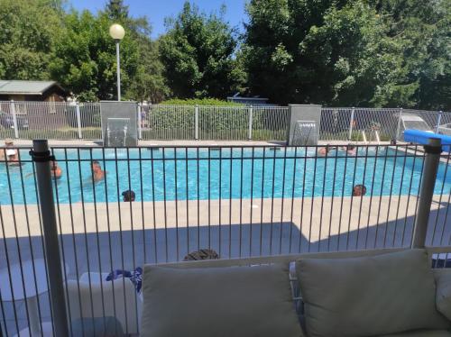 Una piscina con algunos perros en el agua. en Mobil home agreable et fonctionnel, en Besse-et-Saint-Anastaise