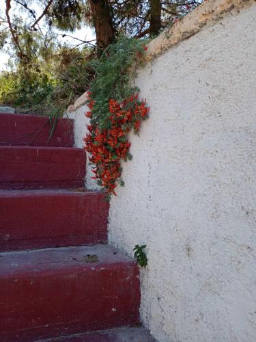Gallery image of Villa Phyllia, Knossos, Crete in Knosos