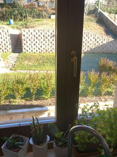 a window with potted plants sitting on a window sill at La mansarda di zia Elena in Civezzano