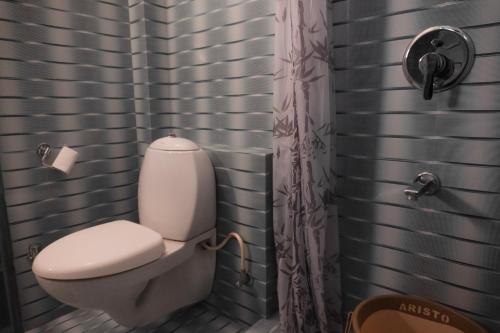 a bathroom with a toilet and a shower at Hotel Pratap Bhawan in Udaipur