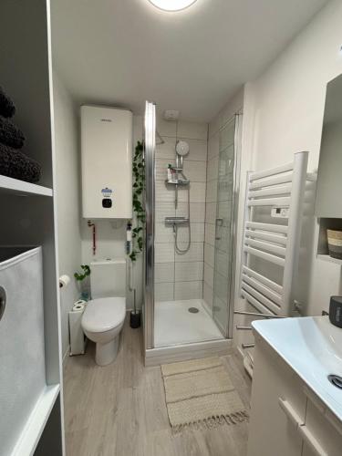 une salle de bain avec une douche, des toilettes et un lavabo dans l'établissement Chez Léo - Rue de la Scellerie, à Tours