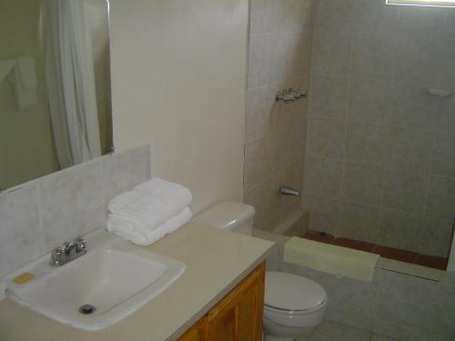 a bathroom with a sink and a toilet and a shower at Casa Villa Apartments in Calliaqua
