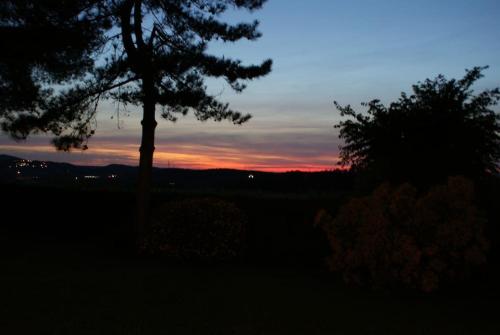 a silhouette of a tree with a sunset in the background at Tuscany country house, Poggio Vitale in Lorenzana