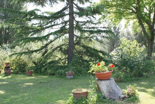 a tree stump with a pot of flowers on it at Tuscany country house, Poggio Vitale in Lorenzana