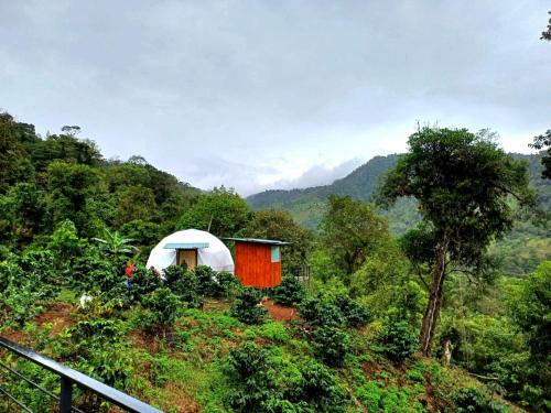 a red and white tent on a hill in a forest at Hotel Rivel - Restaurant & Nature Retreat in Turrialba