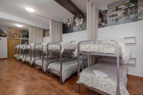 a row of bunk beds in a waiting room at Hostal Entrecaminos in Ardales