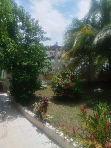 a yard with a palm tree and a building at Mumatt’s Guesthouse in Port Antonio