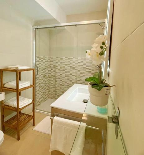 a bathroom with a shower and a sink with a potted plant at Markola in Rentería