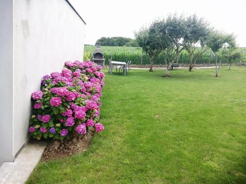 a bush of pink flowers on the side of a building at Maison charmante à Trédaniel avec jardin et terrasse in Trédaniel