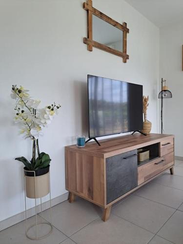 a flat screen tv on a wooden entertainment center with a plant at super appart au cœur des vignes in Péret