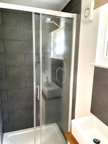 a bathroom with a shower and a sink at Rosewood Shepherds Hut in Ingleby