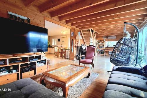 Televisyen dan/atau pusat hiburan di Villa Chênaie des Lagunes Piscine & Spa privé