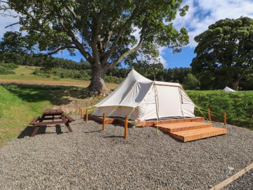 a tent and a picnic table and a tree at Tor Hill in Peebles