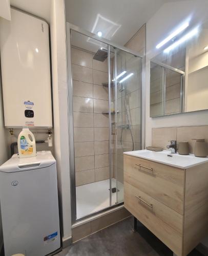 une salle de bain avec douche et lavabo dans l'établissement Le Vert d'Eau - Évasion Authentique au Cœur de Dieppe, à Dieppe