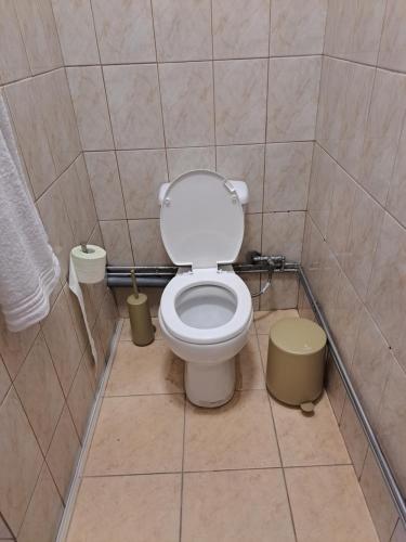 a bathroom with a toilet in a tiled room at Seashell Apartment in Artemida
