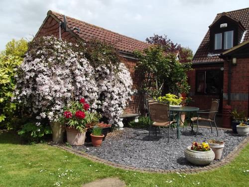 A garden outside March Cottage 