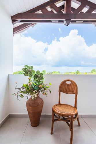 a chair and a potted plant on a porch at Gîte Dalina in Saint-François